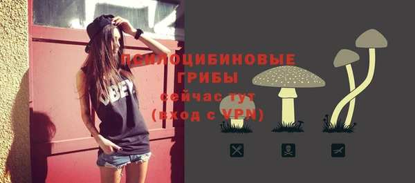 прущий лед Аркадак
