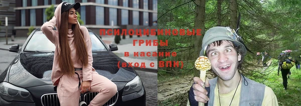 СК Покровск